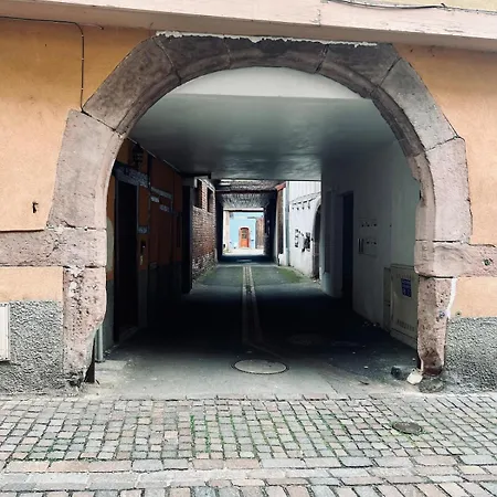 T2 Cosy Charme Alsacien Poutres Apparentes Au Centre De Barr