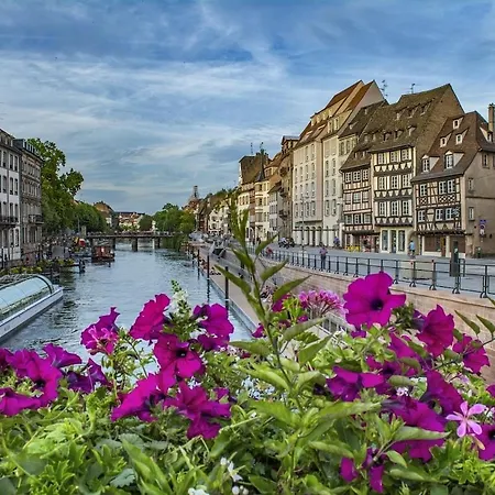 T2 Cosy Charme Alsacien Poutres Apparentes Au Centre De * Barr