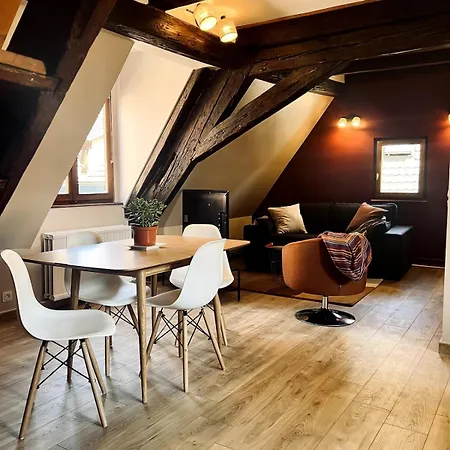 Apartament T2 Cosy Charme Alsacien Poutres Apparentes Au Centre De *