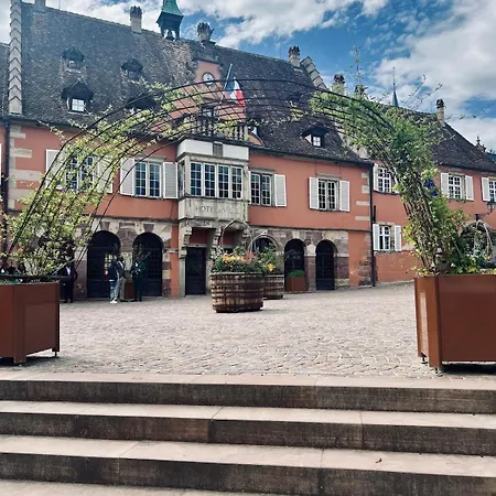 Apartment T2 Cosy Charme Alsacien Poutres Apparentes Au Centre De *