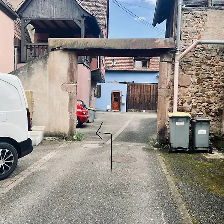 T2 Cosy Charme Alsacien Poutres Apparentes Au Centre De