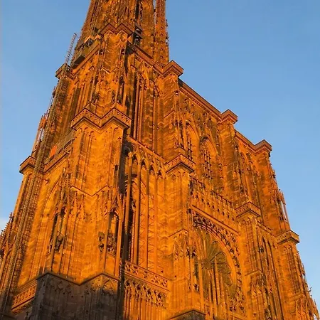 T2 Cosy Charme Alsacien Poutres Apparentes Au Centre De Barr