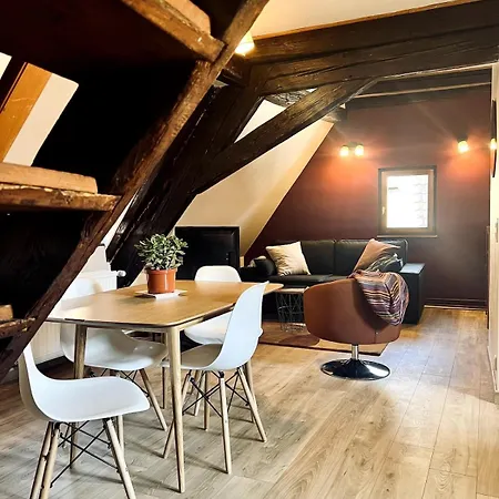 T2 Cosy Charme Alsacien Poutres Apparentes Au Centre De Barr