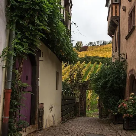 T2 Cosy Charme Alsacien Poutres Apparentes Au Centre De Apartament *