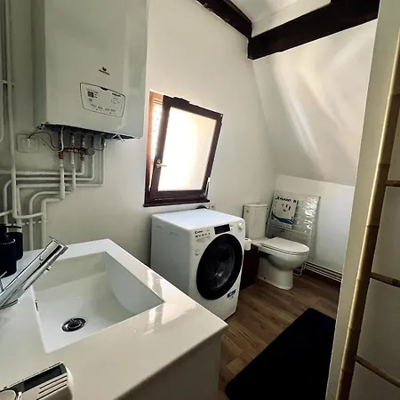 T2 Cosy Charme Alsacien Poutres Apparentes Au Centre De