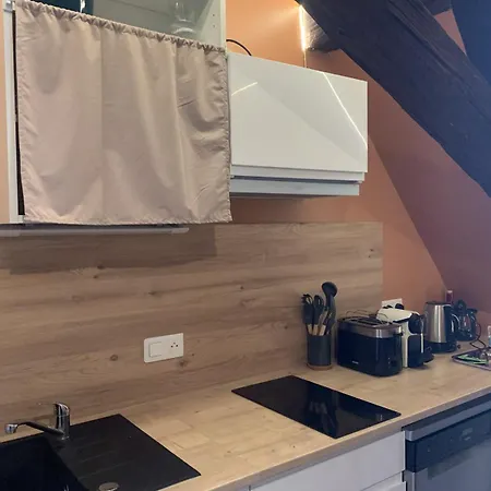 T2 Cosy Charme Alsacien Poutres Apparentes Au Centre De Apartment *